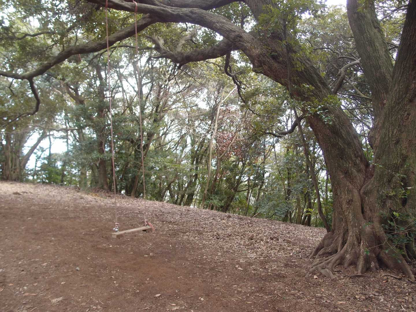 遊び心あり