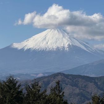 こっちもだいぶ上がったー✨
