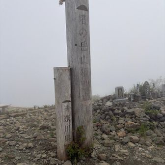 登頂成功…奇跡…