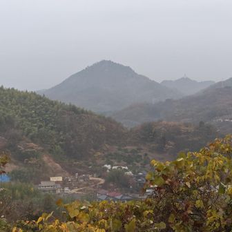 北側にあるお山が白滝山？向山かな？
因島富士と呼ばれても良いのでは✨な佇まい🗻