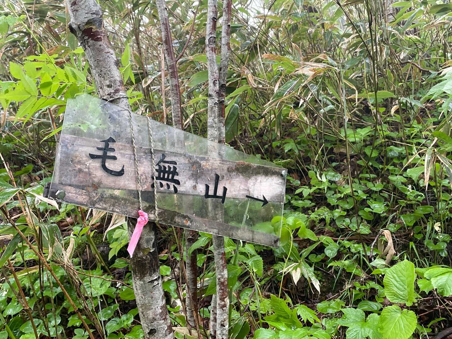 スケルトン看板