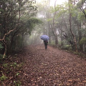 小雨ですが、傘なしだと濡れるので。