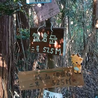 ｢城山｣到着！
って別名多すぎませんか？
あとで調べたら城山、鎌倉岳、嵩山の他にも笠間山、岳山まであるみたいです