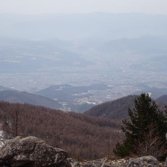 上田平かな？👀