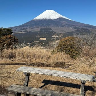 絶景ベンチでランチも良さそう☺️