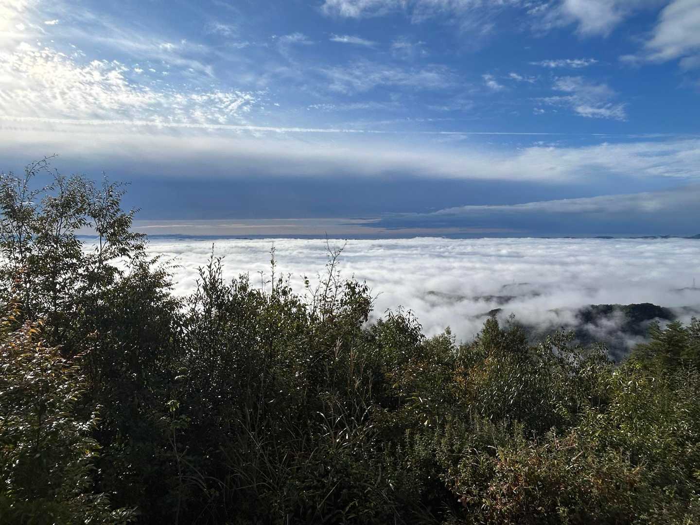 大矢田神社登山口-大矢田神社-天王山-白山 往復コースの写真