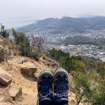 好きなだけ日光浴