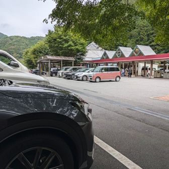 本日は駐車場満車。５台ほどの待ち行列がありました。