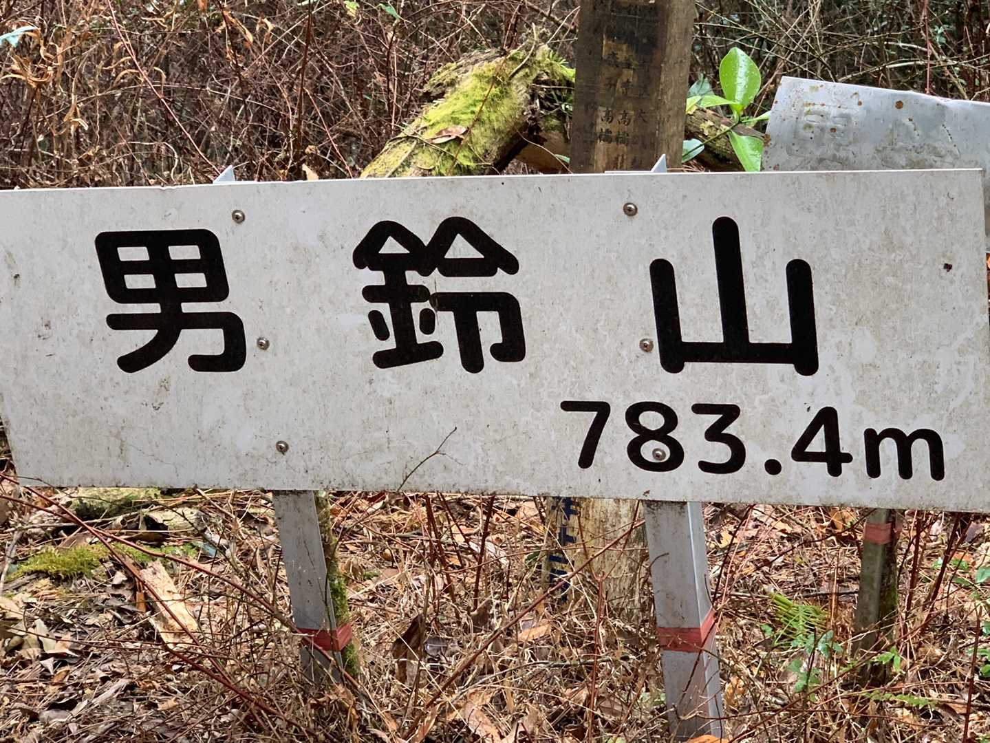 ありました〜🙌🙌