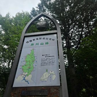 椹島着