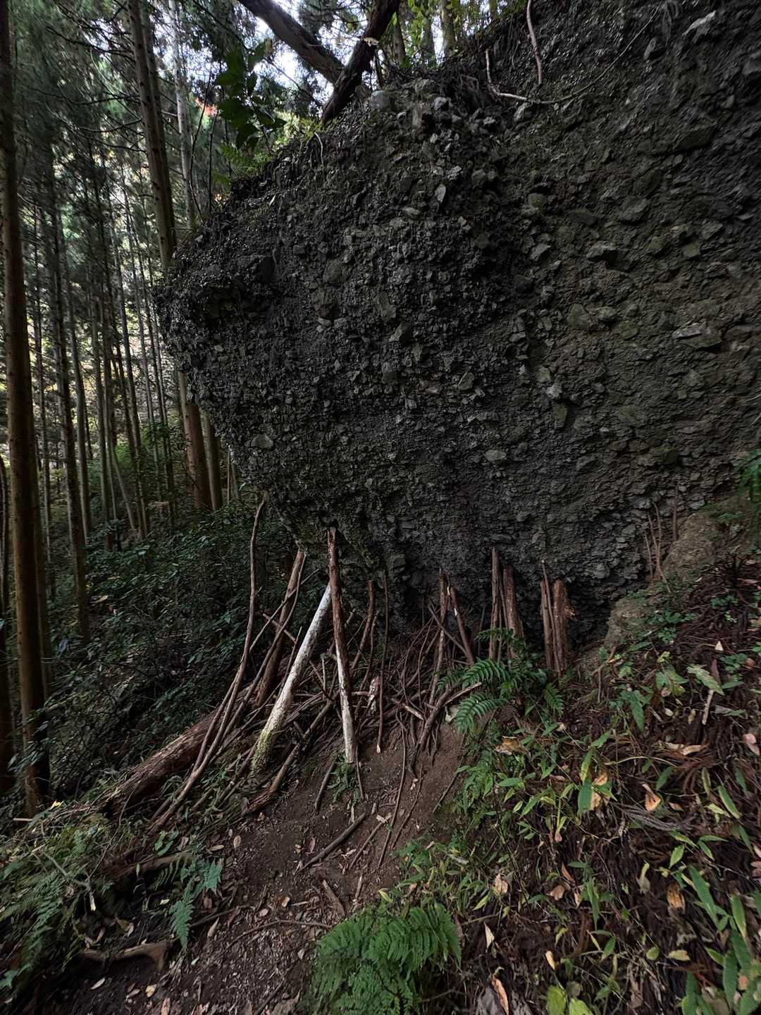岩を支えてくれる君たちがいた