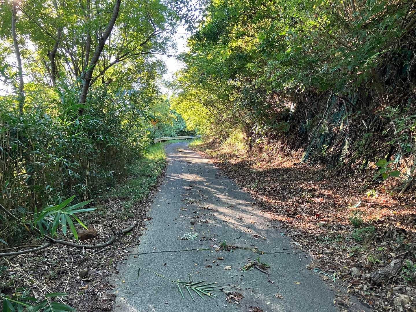 しばらく舗装路が続きます。