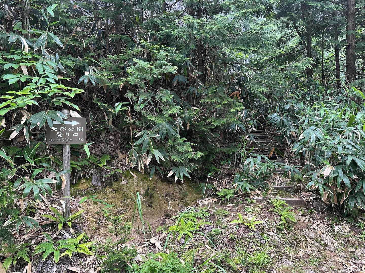 ココから天然公園の登り口😁✋
地獄への入り口です(笑)