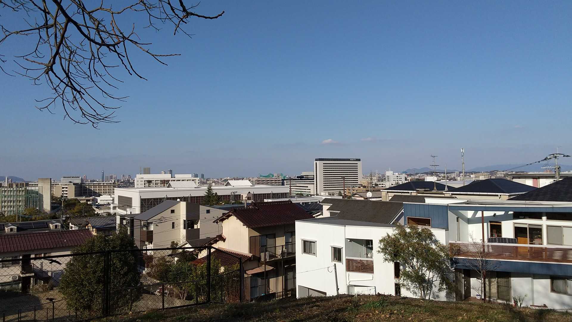 梅林緑道の階段を登る前に撮影。
いい天気です🌞