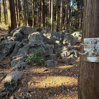 白石様との事🪨