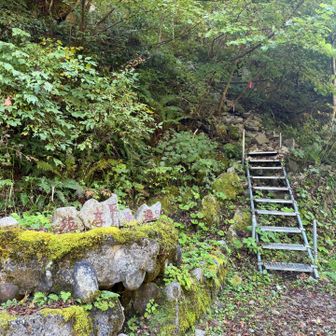 穂高平近道。
通った人曰く、時短にはなったけど道悪いよ。との事