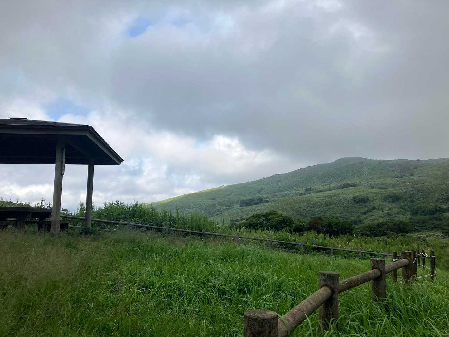茶ヶ床園地に着くと少し青空も
会いたかったお花に会えて感謝🌸