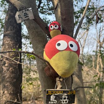 キョロちゃーん