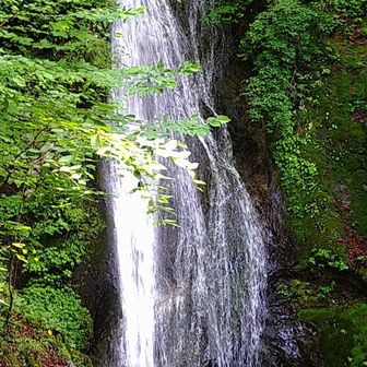 白井差コースの中で一番大きな滝です☺️
名前何だっけ？💦