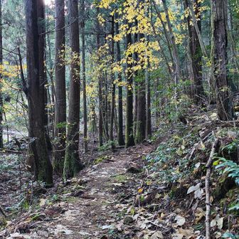 色々お話した結果は
答えは分かってるのにね