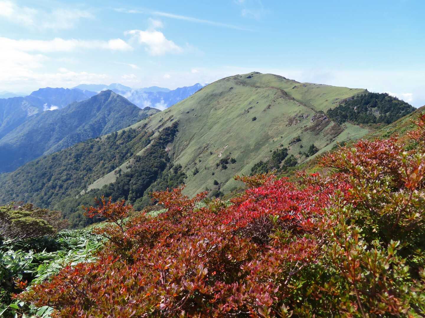 笹ヶ峰の写真