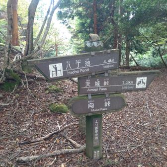 向峠