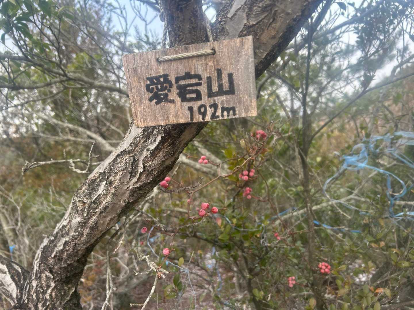 愛宕山🙌