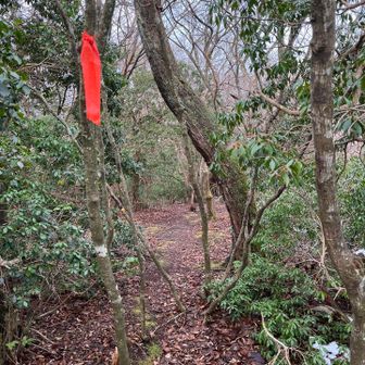 ピンクテープはありますが、YAMAPないと遭難不可避