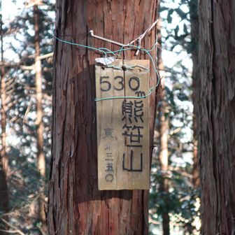 北高尾の楽しみは小さな標識を見つけること②
熊笹山