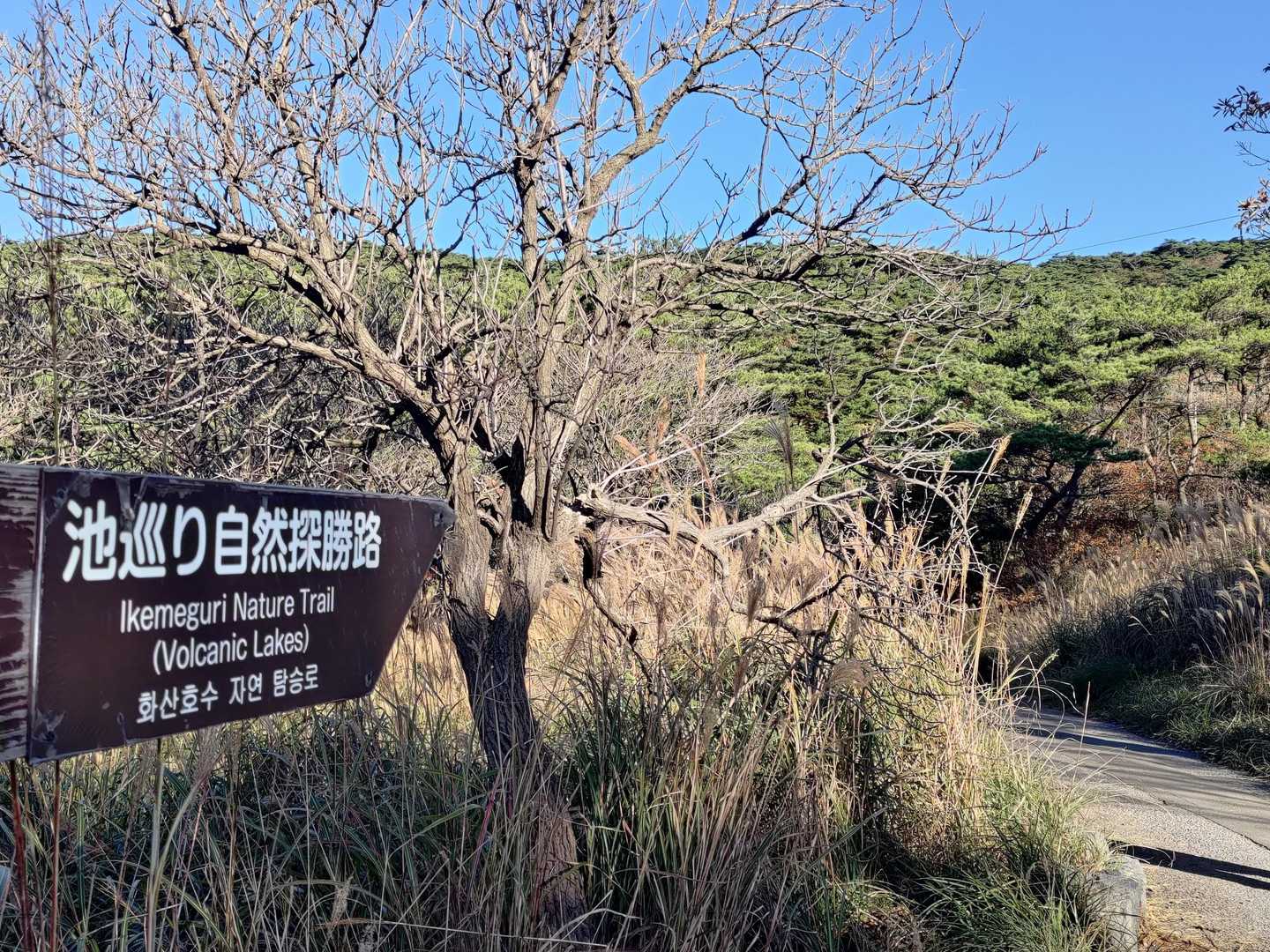 白鳥山へ行ってきます
