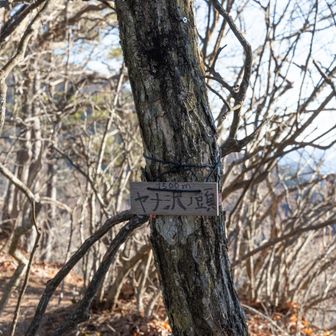 凄く地味な感じであったので、見落としそうになりました