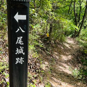 北側から降りて、妙見さんに帰ります。