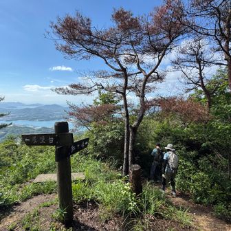 ここから下る　長い階段よ、帰りがしんどいだろうなぁ