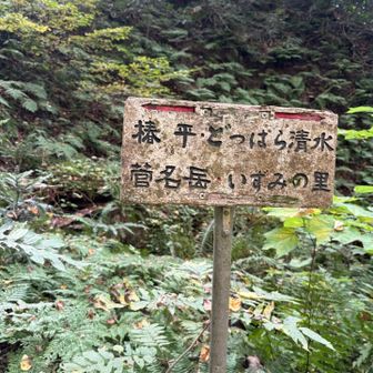 ここから先がキツめ
