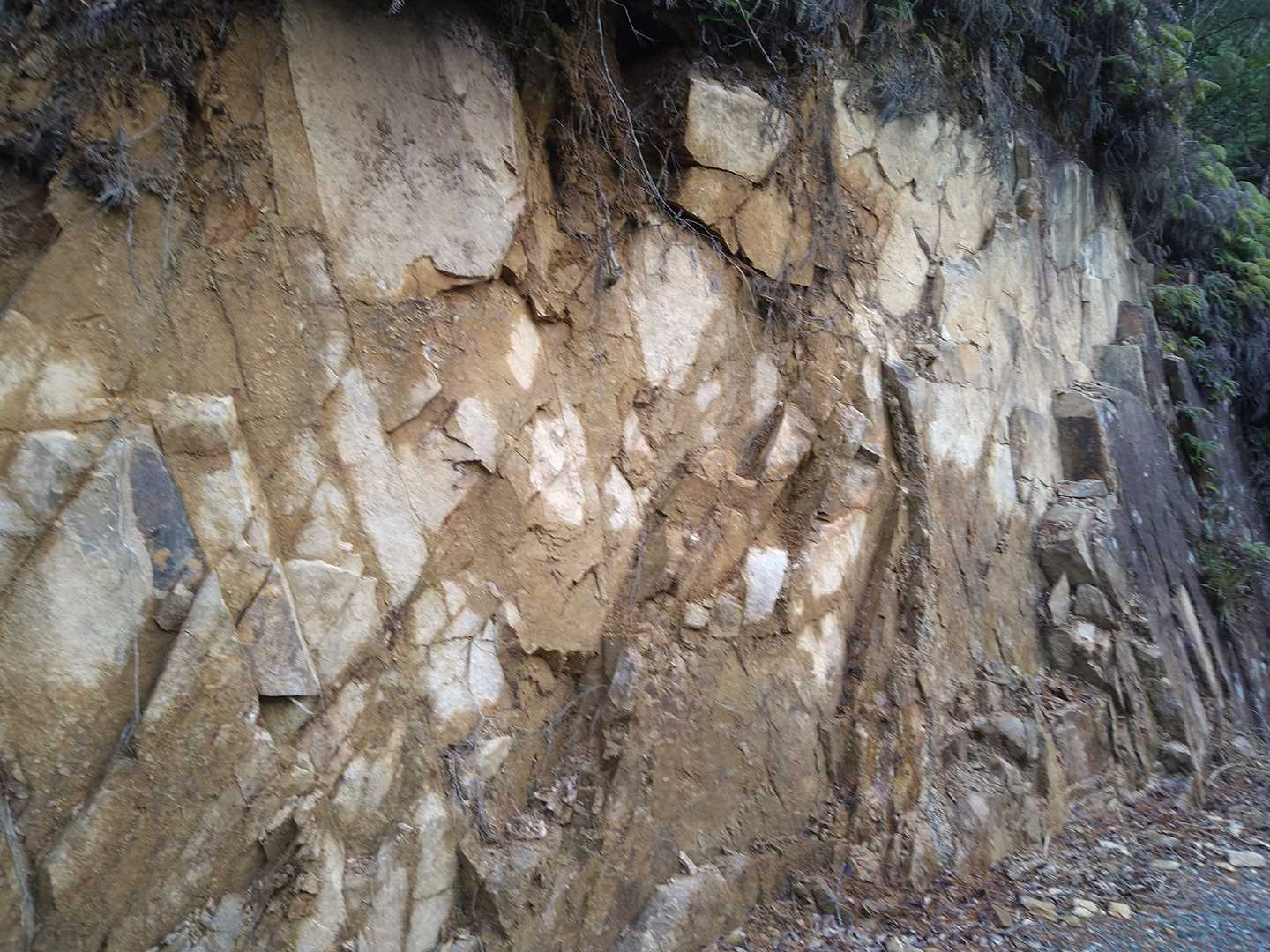 取り付き箇所まで下山、途中の斜面…雨もしばらくまともに降ってないのに、水分シミシミ…こういうトコロは、大雨やゲリラ豪雨の際は簡単に崩れやすいと言われてますよね。気をつけないとですね。