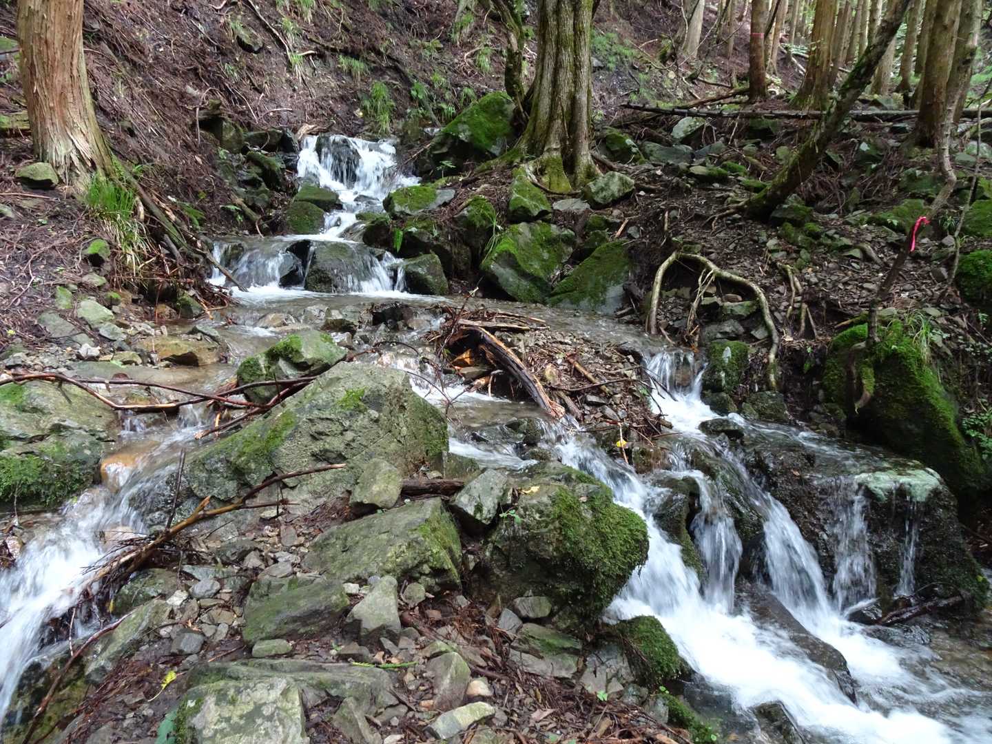 三室山登山口-三室山 往復コースの写真