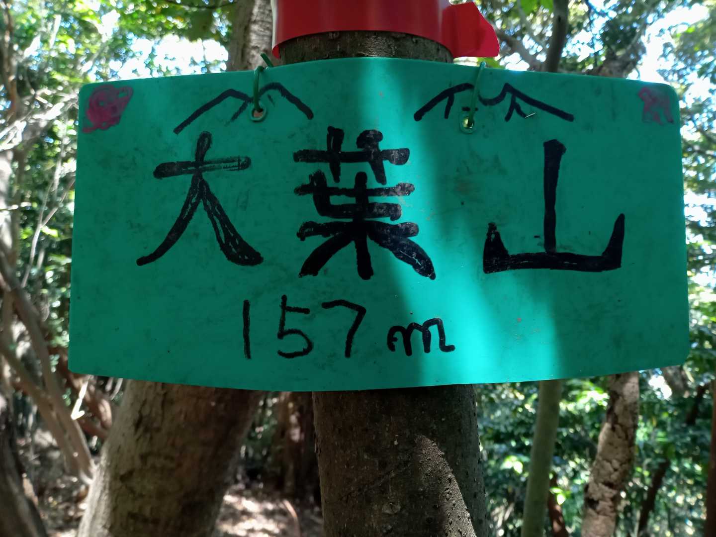 登山口も分かり易くテープもあり大葉山に到着　ここでランチします　静かな山でした