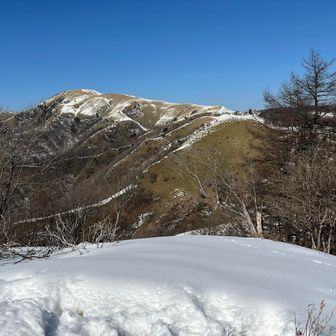 和田山北峰からの三峰山
