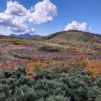 まうんとりっぷ