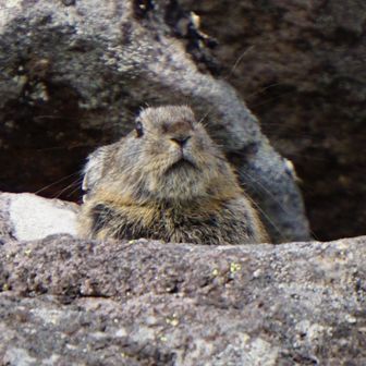 長谷川平蔵宣以