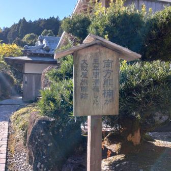 昨日勉強した南方熊楠関連（笑）