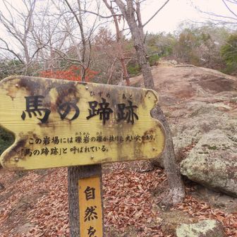 登りやすい岩肌なので 滑ることはありませんでした