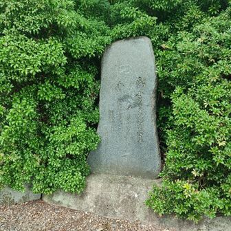 新雪の南部片富士の崇高さよ
わが佇ちて見る心孤りに
武島繁太郎