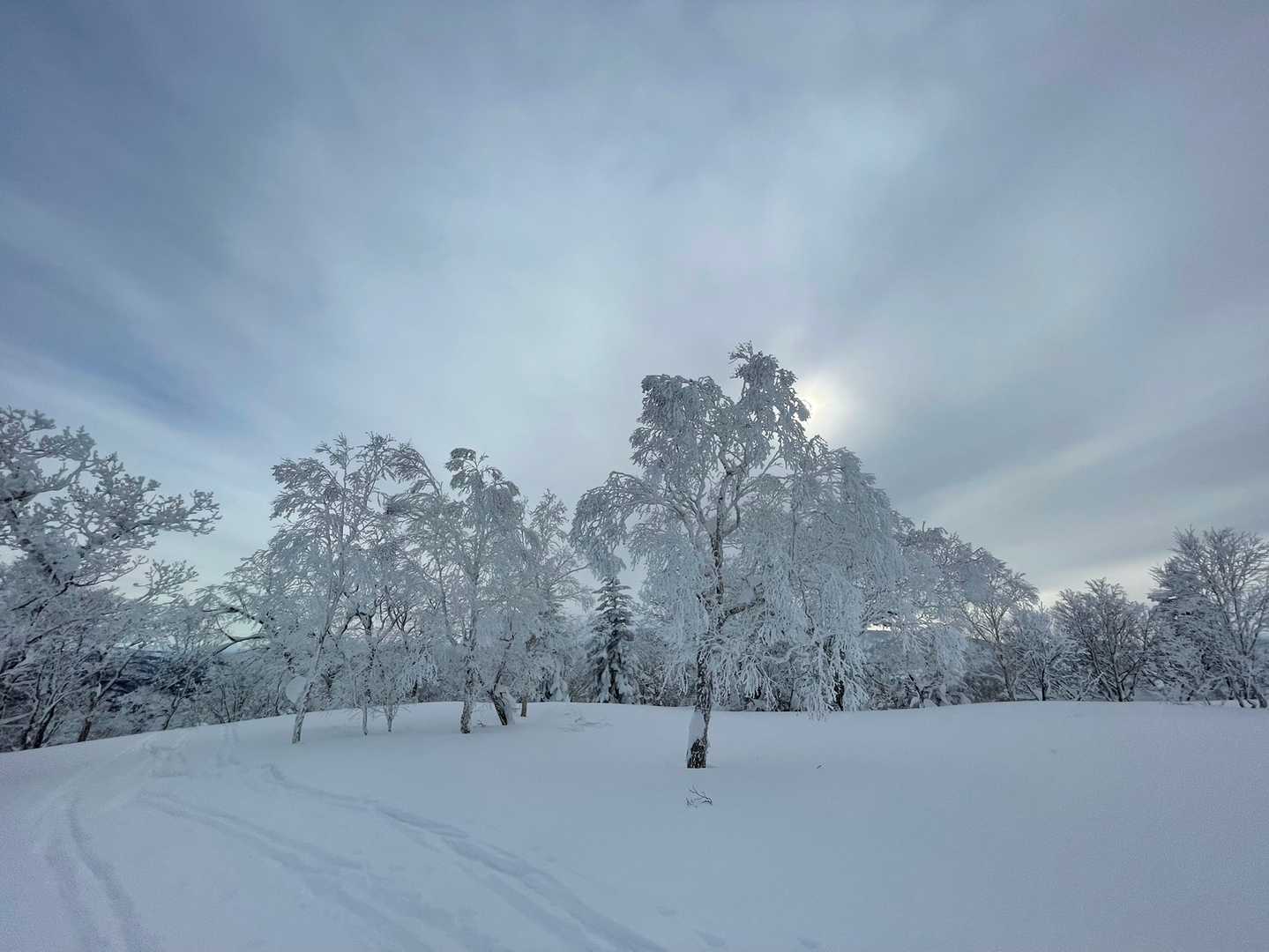 春じゃなくて厳冬期に登ったからこその景色✨