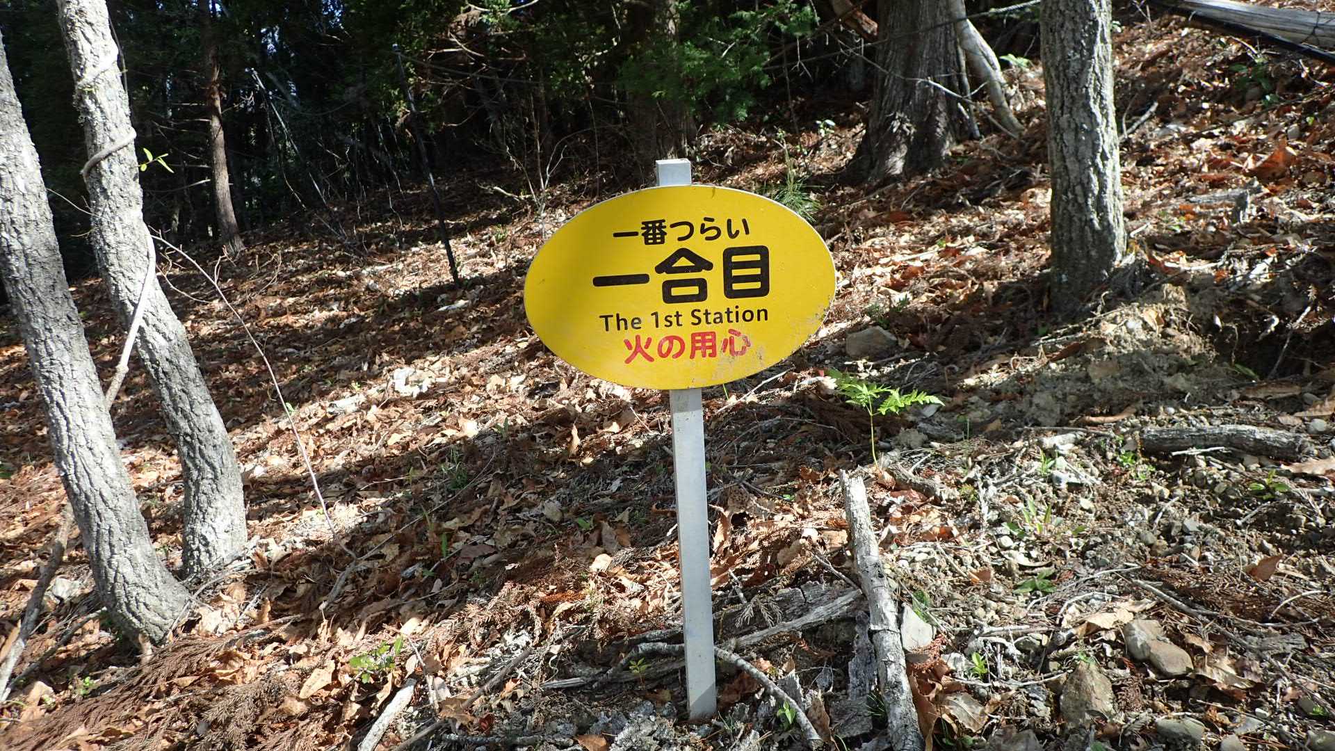 一合目までが一番長いです。標高差200m以上。植林を登ります。
