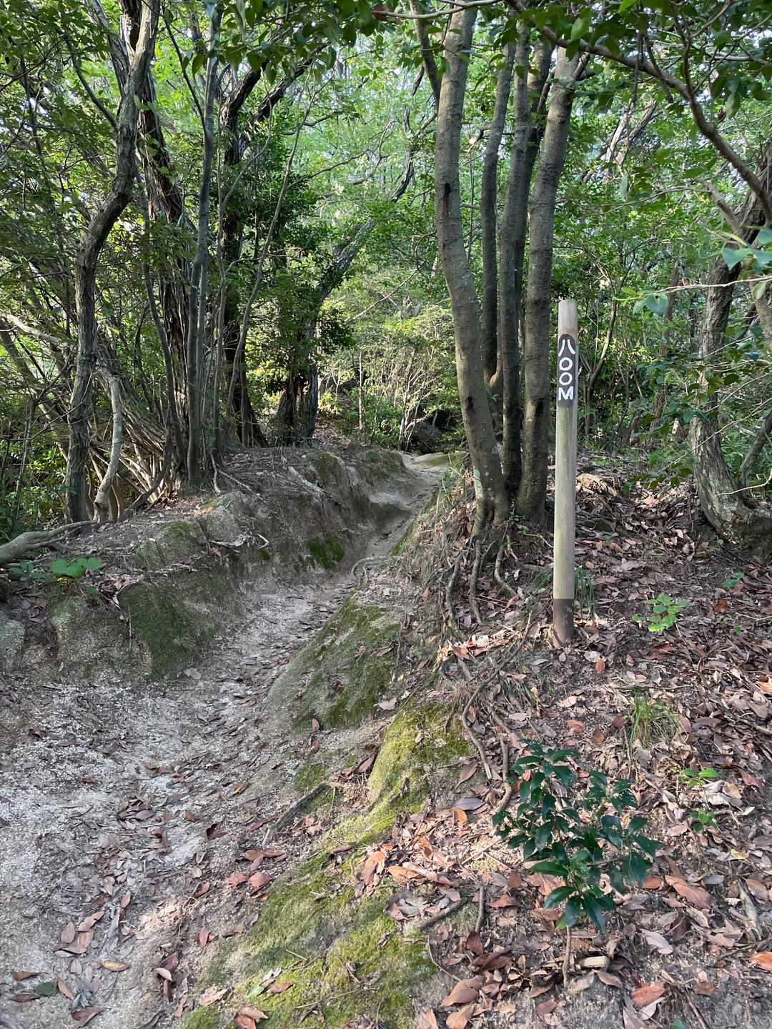 800m🌳🌳