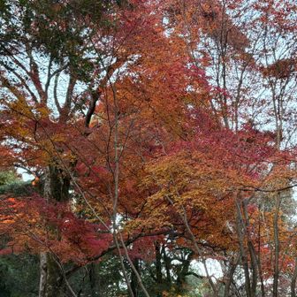 まだまだきれい