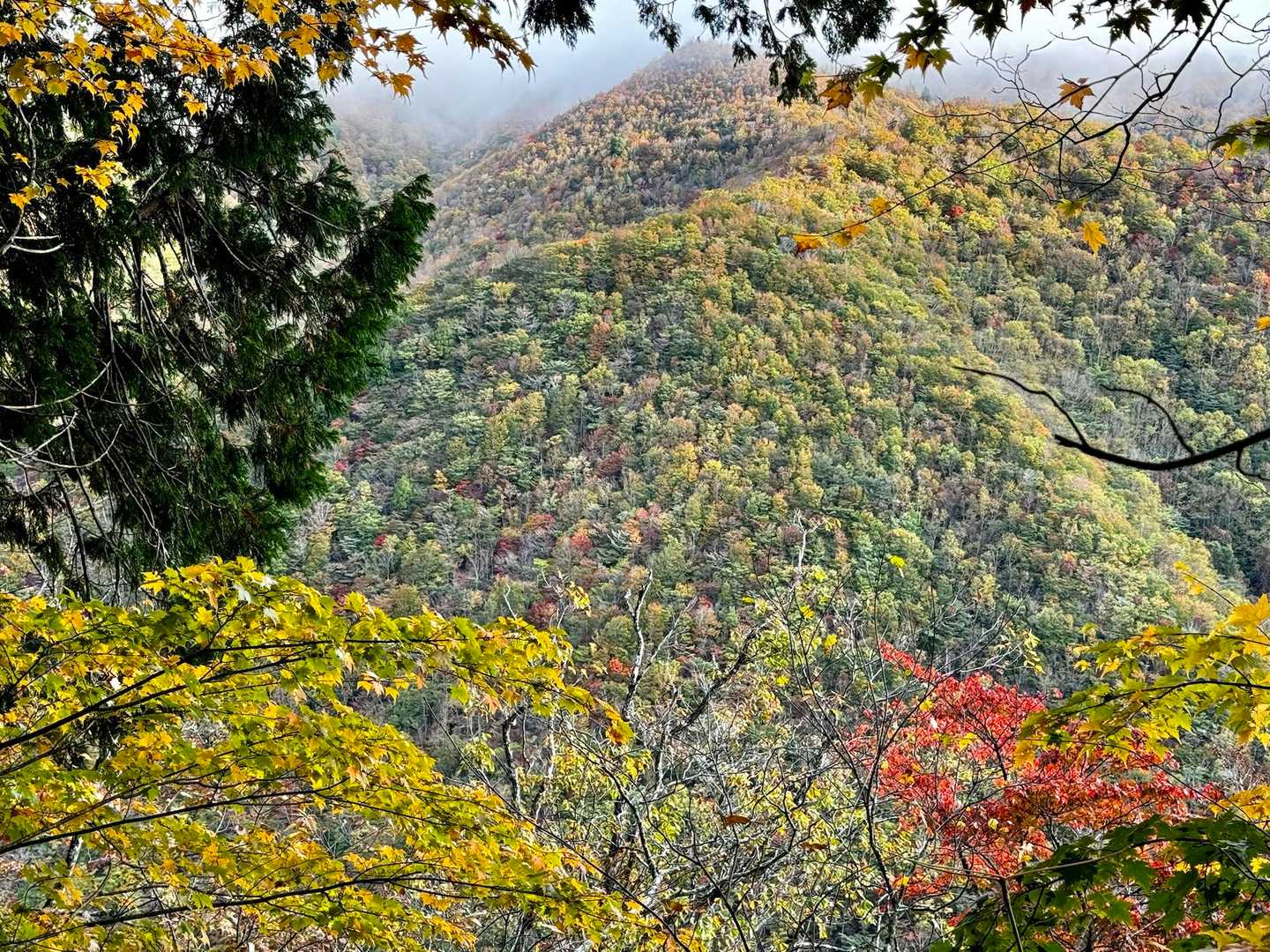とても良い景色なんですが‥
暴風🌀です〜
