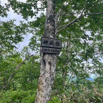 山頂は広くて居心地いいけど、ハイ次