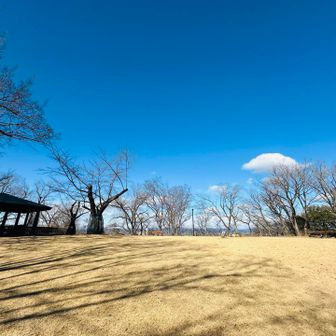 そこそこ広い芝生
ピークはこの奥👆

⛰️城山56m とうちゃこ
うぇ〜いψ(｀∇´)ψ

なぜココで？　この写真の🫱右手奥
🔺三角点がある
見つけて　あとで撮ろ　で　眺望写真を撮ってたら
そのまま忘れて帰ると言う・・・疲れてんなー😅